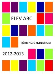 Elev ABC - TÃ¸rring Gymnasium