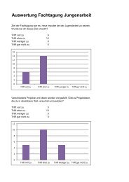 Auswertung Fachtagung Jungenarbeit - VOJA