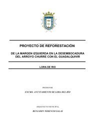 PROYECTO DE REFORESTACIÃN - Lora del RÃ­o