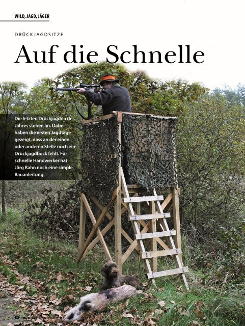 Auf die Schnelle - Wild und Hund