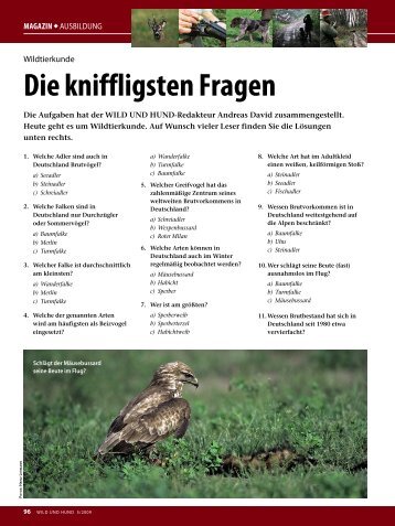 Die kniffligsten Fragen - Wild und Hund