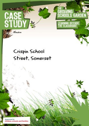 Crispin School Street, Somerset - The Growing Schools Garden