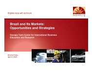 Brazil and Its Markets: Opportunities and Strategies