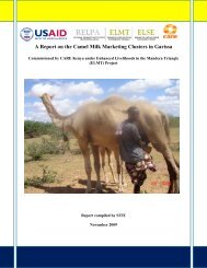 A Report on the Camel Milk Marketing Clusters in ... - ELMT Home