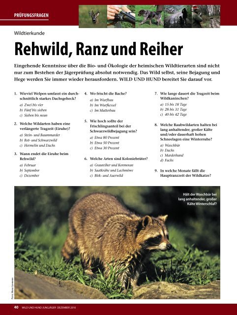 Die Rassen im Ãœberblick! - Wild und Hund