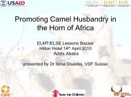 Promoting Camel Husbandry in the Horn of Africa