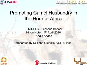 Promoting Camel Husbandry in the Horn of Africa