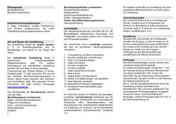 Flyer (pdf 0,5 MB) - Berufskolleg Lise Meitner