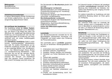 Flyer (pdf 0,5 MB) - Berufskolleg Lise Meitner