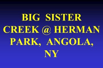 Big Sister Creek @ Herman Park, Angola, NY ROAD & BRID GE ...