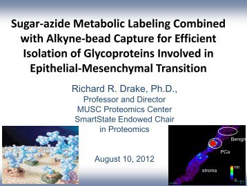 Sugar-azide Metabolic Labeling Combined with Alkyne-bead ...