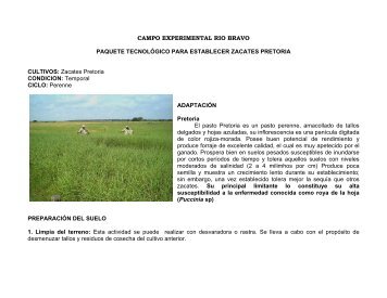 Paq Tecn Pasto Pretoria Norte Tam.pdf