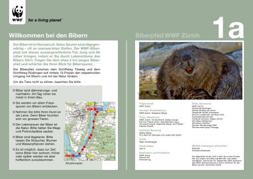 Biberpfad WWF Zürich Willkommen bei den Bibern