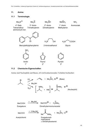 Amin 2 - Organische Chemie - Christoffers