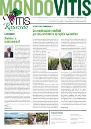 mondovitis - Vitisrauscedo.com