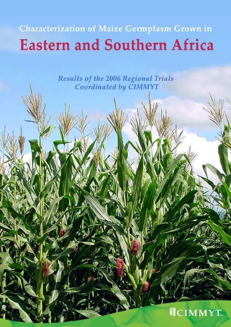 Characterization of maize germplasm grown in eastern and ... - cimmyt