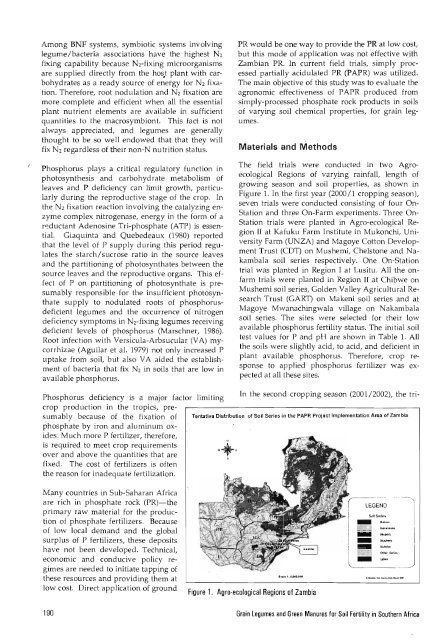 Grain Legumes and Green Manures for Soil Fertility in ... - cimmyt