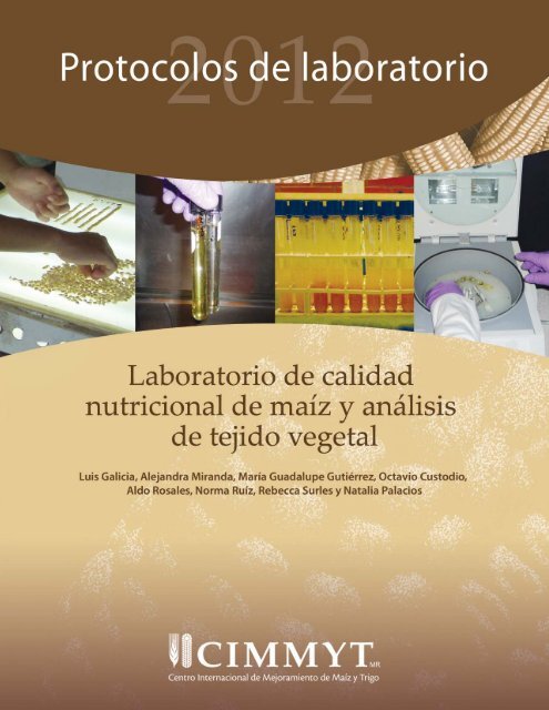 Anexo 1 - Search CIMMYT repository