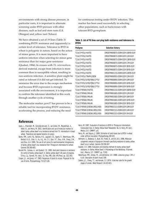 Research Highlights of the CIMMYT Wheat Program 1999-2000