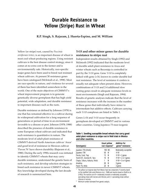 Research Highlights of the CIMMYT Wheat Program 1999-2000