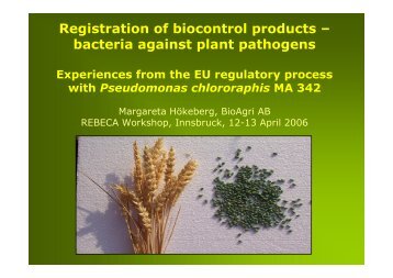 Bacteria against plant pathogens - REBECA