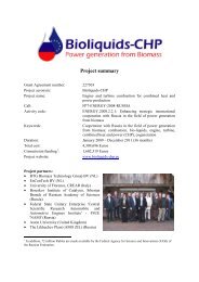 Project summary - Bioliquids-CHP