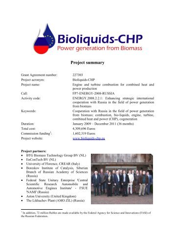 Project summary - Bioliquids-CHP