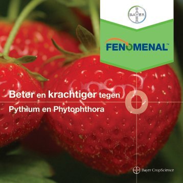 Brochure Fenomenal aardbei 2069 KB - Bayer CropScience