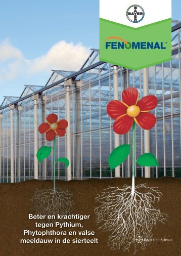 Folder Fenomenal glastuinbouw 4757 KB - Bayer CropScience