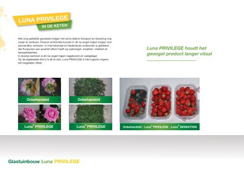 Brochure Luna PRIVILEGE glastuinbouw 1279 KB - Bayer ...