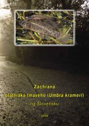 Zadarmo čisté triezvy dátumové údaje lokalít