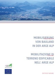 MOBILISIERUNG VON BAULAND IN DER ARGE ALP ... - Land Tirol