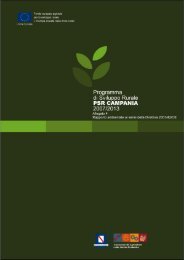 rapporto ambientale del programma di sviluppo rurale 2007 - 2013