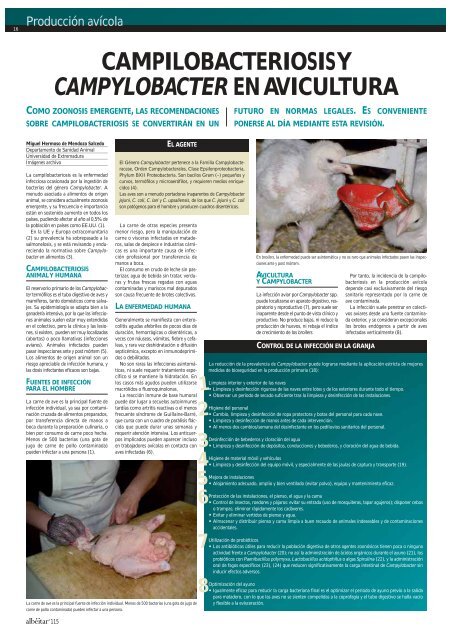 PRODUCCION AVICOLA.pdf - sisman