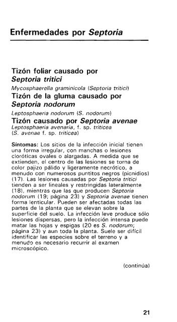 Enfermedades y plagas del trigo - cimmyt