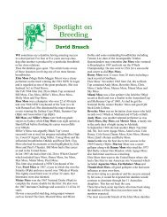 Spotlight on Breeding - Moss damline.pdf - Greyhound-Data