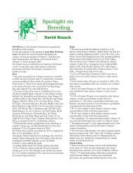 Spotlight on Breeding - Australian Winning Lines - Greyhound-Data