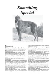 Something Special.pdf - Greyhound-Data