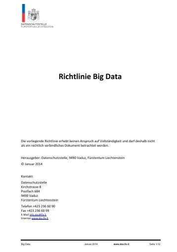 Richtlinie Big Data