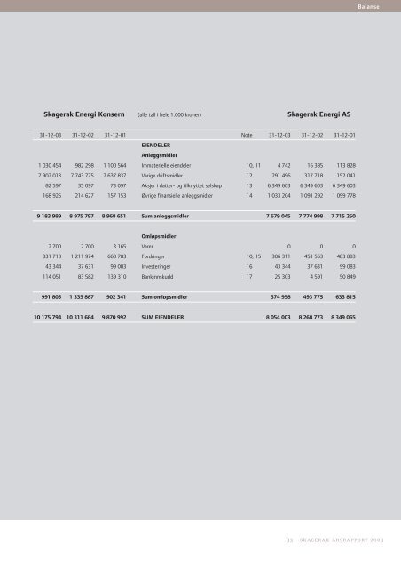 Last ned Skagerak Energis Ã¥rsrapport 2003 - Skagerak Energi AS