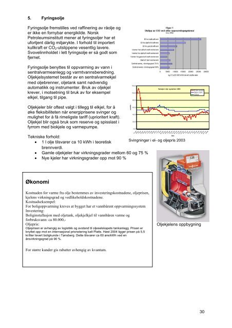 Lokal energiutredning for 2005 - Skagerak Energi AS