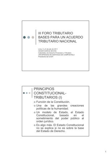 PRINCIPIOS CONSTITUCIONALES DEL DERECHO TRIBUTARIO ...