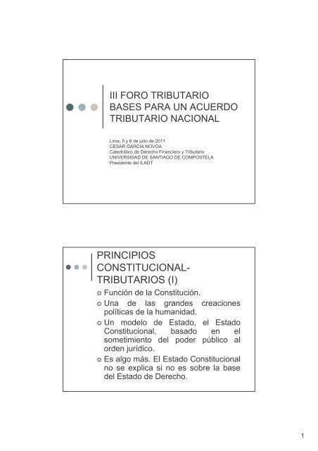 PRINCIPIOS CONSTITUCIONALES DEL DERECHO TRIBUTARIO ...