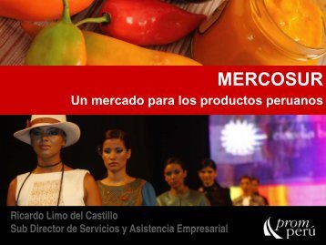 Mercosur Un mercado para los productos Peruanos Ricardo Limo ...