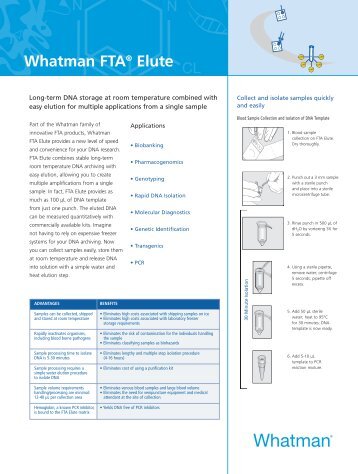 Whatman FTA® Elute