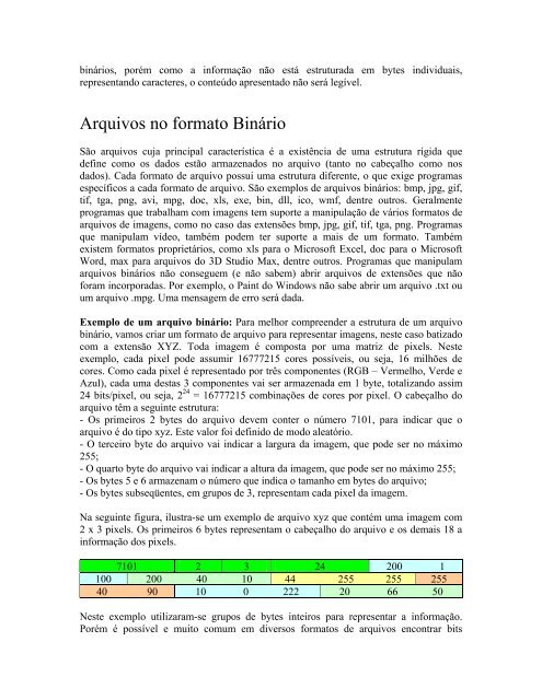 RepresentaÃ§Ã£o BinÃ¡ria de Dados - InformÃ¡tica UFSM