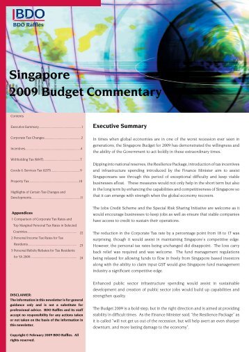 Singapore 2009 Budget Commentary - BDO Raffles