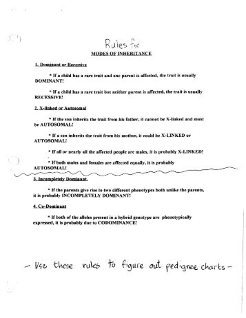 Great myths about the great depression