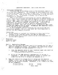 How is DNA Analyzed.pdf - Mrs Stovel