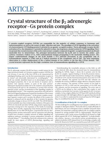 Crystal structure of the Î²2 adrenergic receptor-Gs protein ... - MPEC